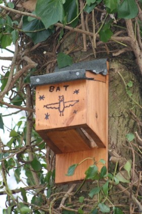 Bat Box.